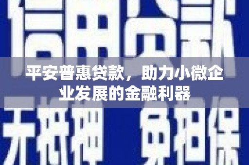 广水平安普惠贷款，助力小微企业发展的金融利器