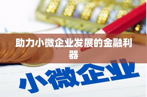 广水助力小微企业发展的金融利器