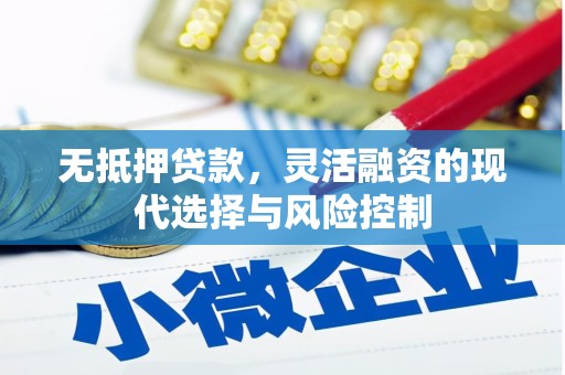 广水无抵押贷款，灵活融资的现代选择与风险控制