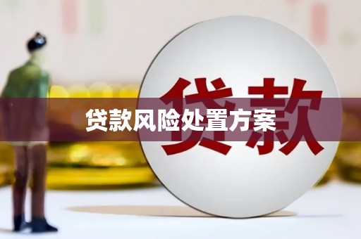 广水贷款风险处置方案