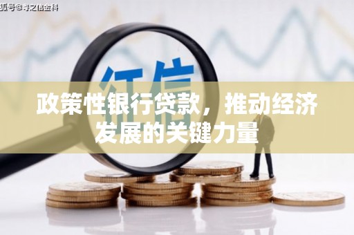 广水政策性银行贷款，推动经济发展的关键力量