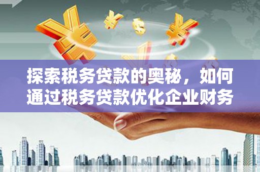 广水探索税务贷款的奥秘，如何通过税务贷款优化企业财务