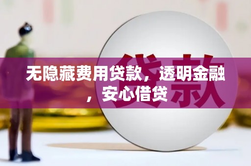 广水无隐藏费用贷款，透明金融，安心借贷