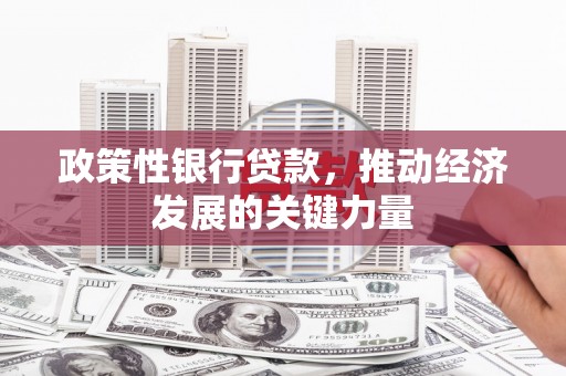 广水政策性银行贷款，推动经济发展的关键力量
