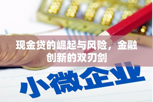 广水现金贷的崛起与风险，金融创新的双刃剑