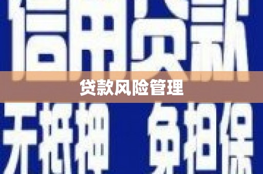 广水贷款风险管理