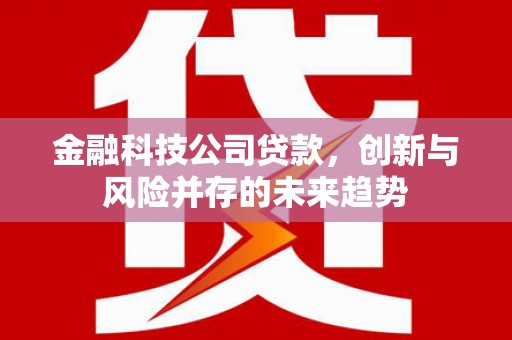 广水金融科技公司贷款，创新与风险并存的未来趋势