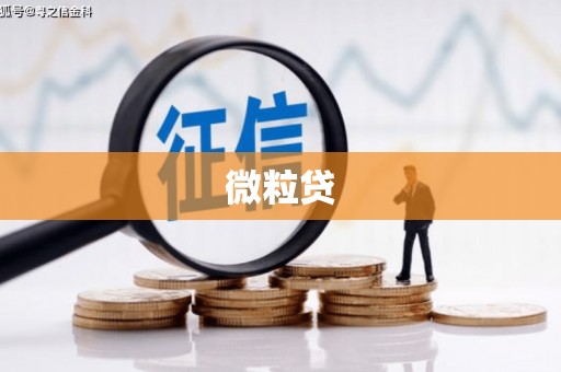 广水微粒贷