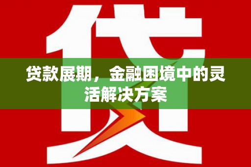 广水贷款展期，金融困境中的灵活解决方案