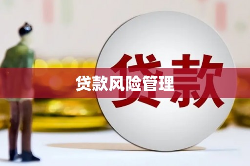 广水贷款风险管理