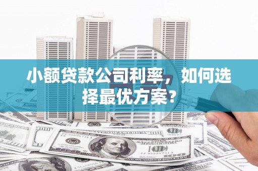 广水小额贷款公司利率，如何选择最优方案？