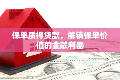 广水保单质押贷款，解锁保单价值的金融利器