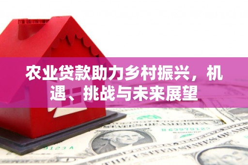 广水农业贷款助力乡村振兴，机遇、挑战与未来展望