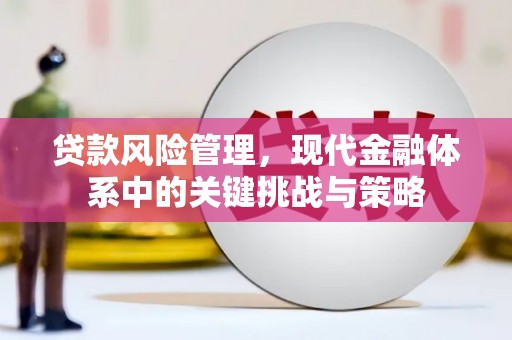 广水贷款风险管理，现代金融体系中的关键挑战与策略