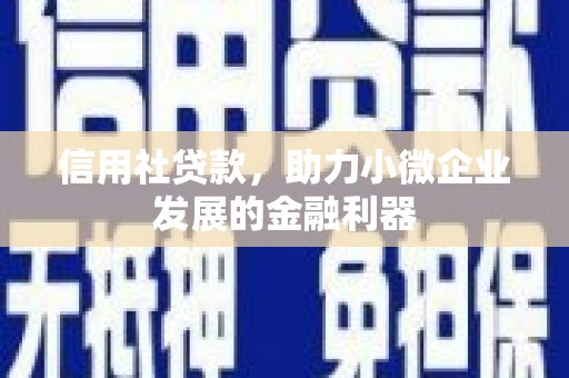 广水信用社贷款，助力小微企业发展的金融利器