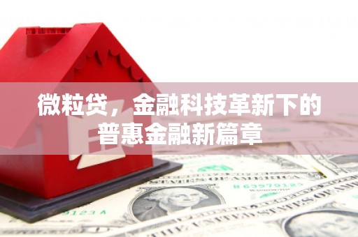 广水微粒贷，金融科技革新下的普惠金融新篇章