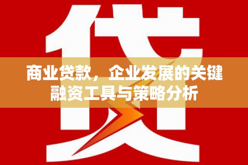 广水商业贷款，企业发展的关键融资工具与策略分析