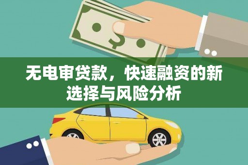 广水无电审贷款，快速融资的新选择与风险分析
