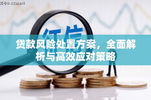 广水贷款风险处置方案，全面解析与高效应对策略
