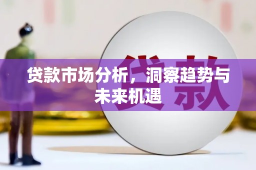 广水贷款市场分析，洞察趋势与未来机遇