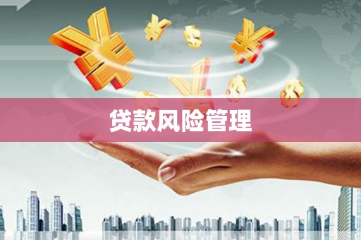 广水贷款风险管理