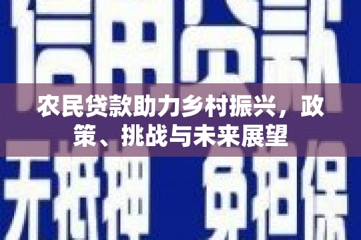 广水农民贷款助力乡村振兴，政策、挑战与未来展望