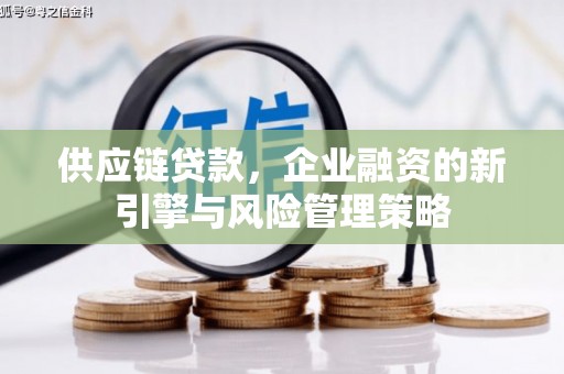 广水供应链贷款，企业融资的新引擎与风险管理策略