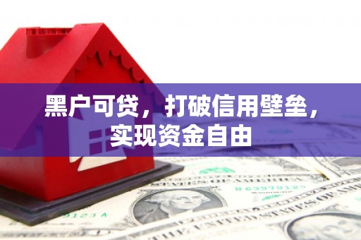 广水黑户可贷，打破信用壁垒，实现资金自由