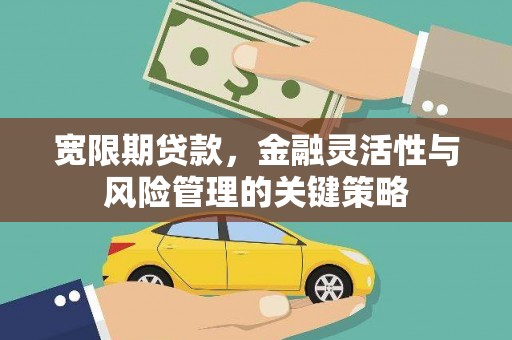 广水宽限期贷款，金融灵活性与风险管理的关键策略