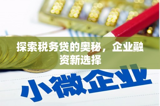 广水探索税务贷的奥秘，企业融资新选择