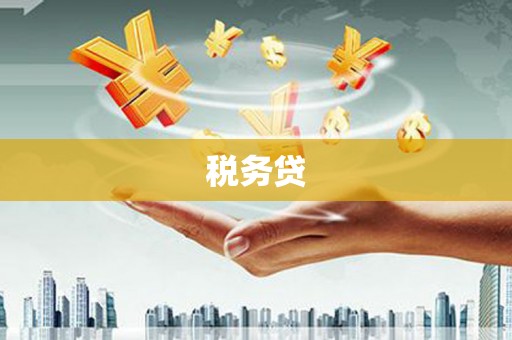 广水税务贷
