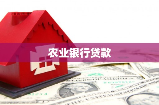 广水农业银行贷款