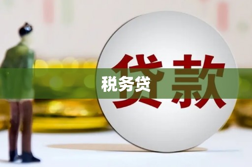 广水税务贷