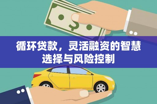 广水循环贷款，灵活融资的智慧选择与风险控制