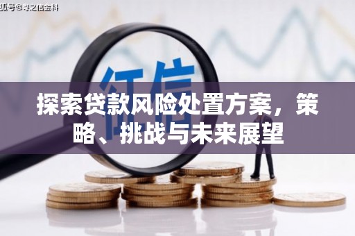 广水探索贷款风险处置方案，策略、挑战与未来展望