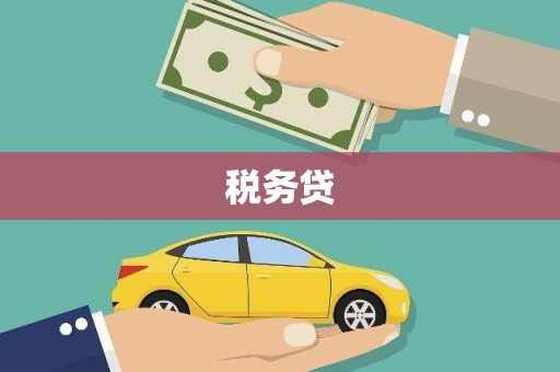 广水税务贷