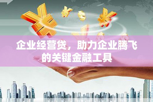 广水企业经营贷，助力企业腾飞的关键金融工具