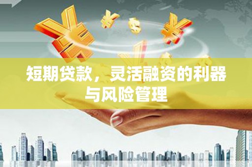 广水短期贷款，灵活融资的利器与风险管理