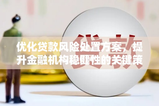 广水优化贷款风险处置方案，提升金融机构稳健性的关键策略