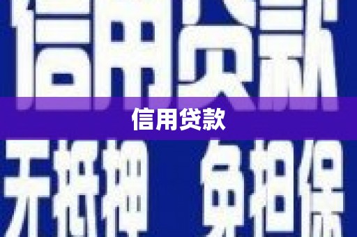 广水信用贷款