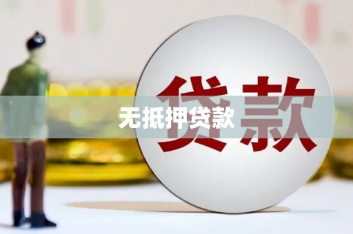 广水无抵押贷款