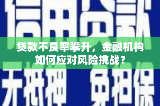广水贷款不良率攀升，金融机构如何应对风险挑战？