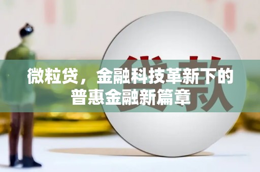 广水微粒贷，金融科技革新下的普惠金融新篇章