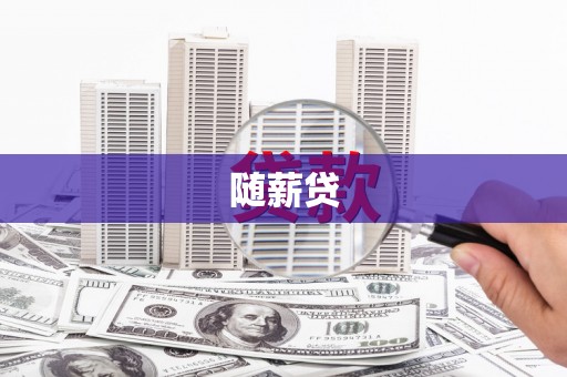 广水随薪贷