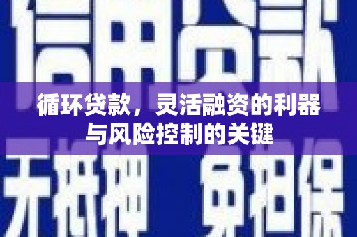 广水循环贷款，灵活融资的利器与风险控制的关键