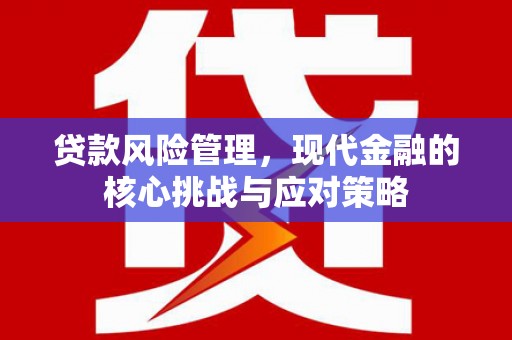 广水贷款风险管理，现代金融的核心挑战与应对策略
