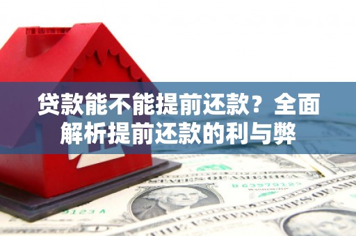 广水贷款能不能提前还款？全面解析提前还款的利与弊