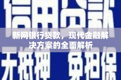 广水新网银行贷款，现代金融解决方案的全面解析