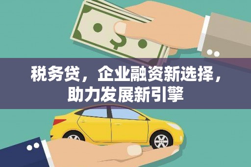 广水税务贷，企业融资新选择，助力发展新引擎
