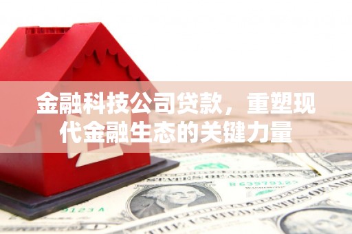 广水金融科技公司贷款，重塑现代金融生态的关键力量